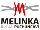 Corporación Melinka Puchuncaví